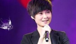 李宇春最新微博爆料,揭秘神秘计划引粉丝热议