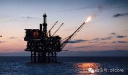 南非大炮爆料最新消息,揭秘重大国际事件内幕