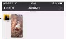 猪瘟最新爆料视频大全,视频大全揭示疫情真相与防控措施