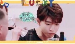 台湾小凯爆料视频大全最新,揭秘娱乐圈幕后真相